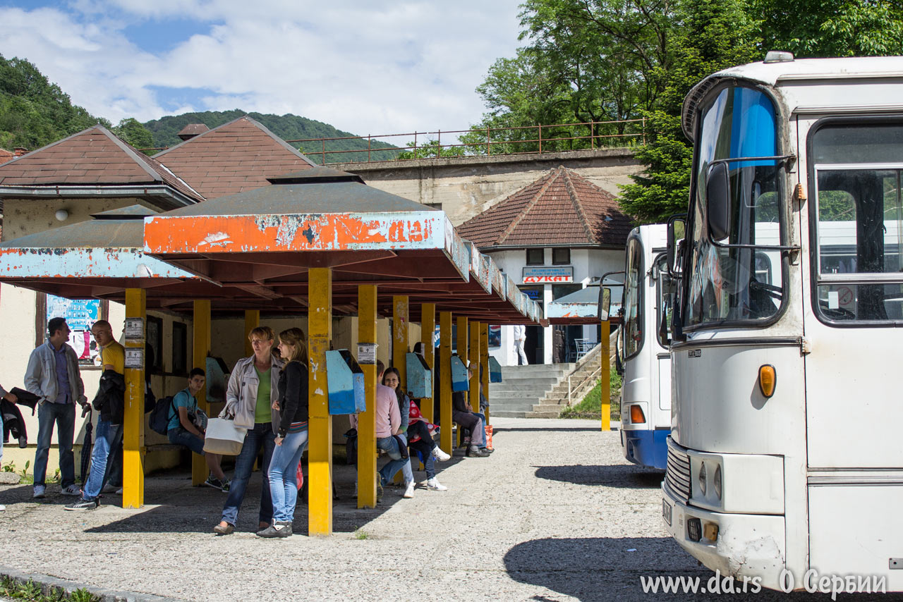 Автобус ходит до Белграда