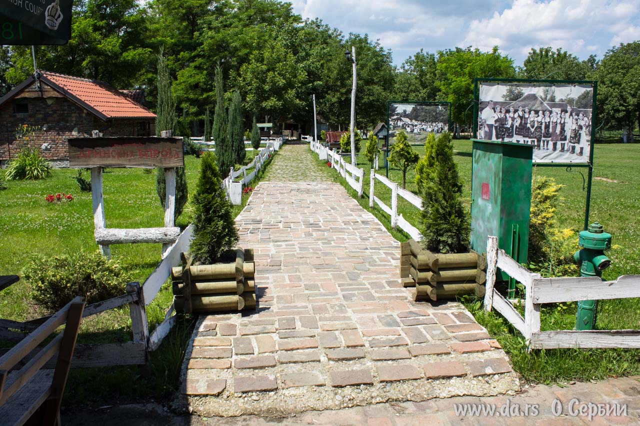 Улица Дринских ветров