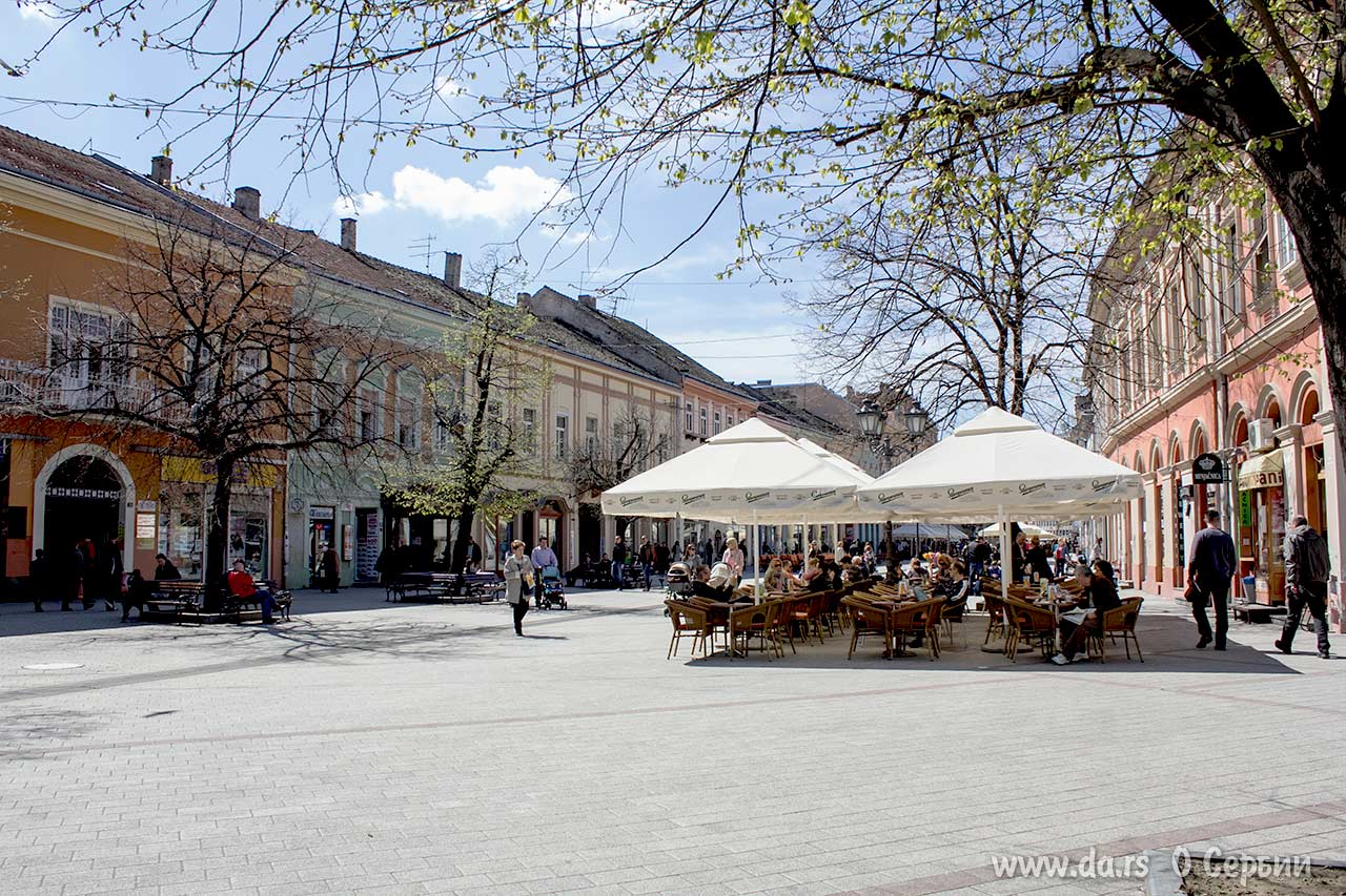 Первая листва